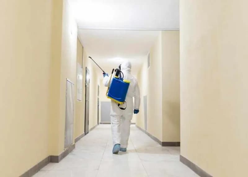 Disinfection of buildings