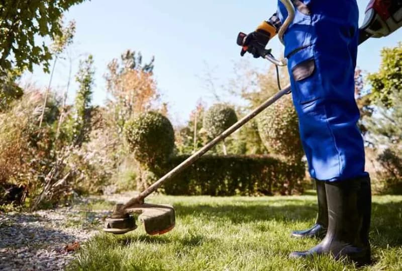 Yard and garden maintenance